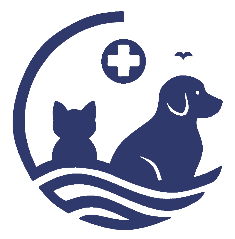 66d0574b 0bb6 4efd a19d 5f1412af598d