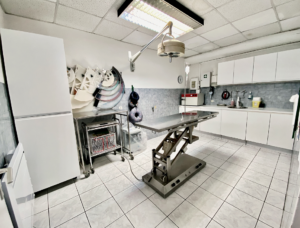 Lire la suite à propos de l’article Salle de chirurgie