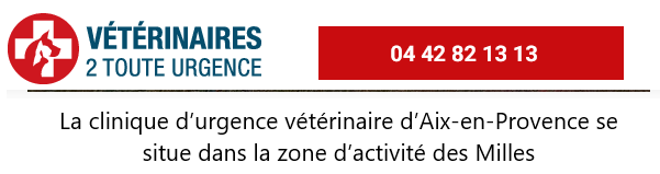 urgence veterinaire