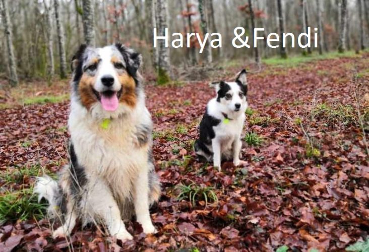 Harya et Fendji